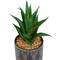 Green Faux Foliage Small Succulent Artificial Plant with Leaf Patterned Pot Set